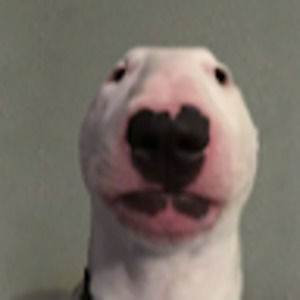 Meet your Posher, Kaleb